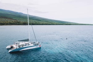 Maalaea: Länsi-Mauin snorklaus- ja purjehduspäiväretki lounaalla