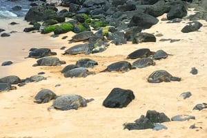 Maui : Visite de l'ouest de Maui avec petit-déjeuner et déjeuner