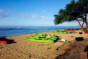 Maui: West Side Discovery Kajak & Snorkel från UKUMEHAME
