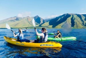 Maui: Caiaque e mergulho com snorkel no West Side Discovery saindo de UKUMEHAME