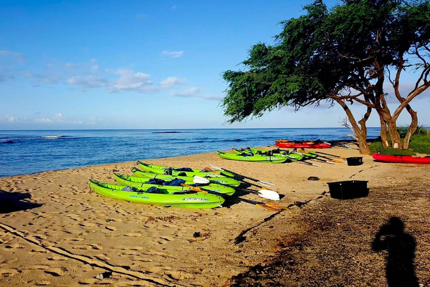 Maui: West Side Discovery Kajak & Snorkling från UKUMEHAME