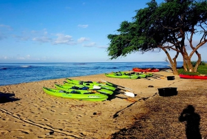 Maui: West Side Discovery Kajak & Snorkling från UKUMEHAME
