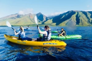 Maui: West Side Discovery kajakk og snorkling fra UKUMEHAME