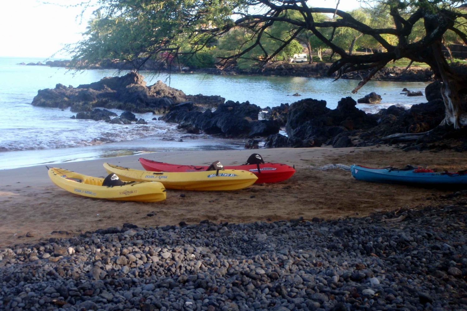 Maui: Whale Watch Kayaking and Snorkel Tour in Kihei