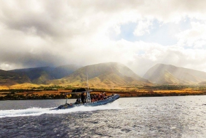 Maui: Guided Whale Watching Tour on Eco Raft