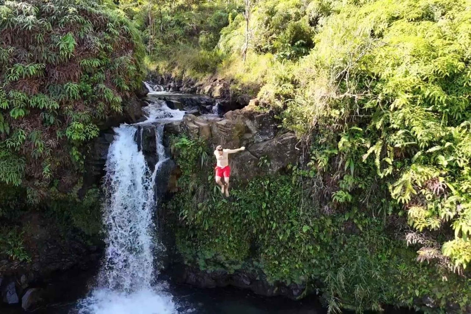 Maui's Sea Turtle & Waterfalls: Taste of Hana Guided Tour