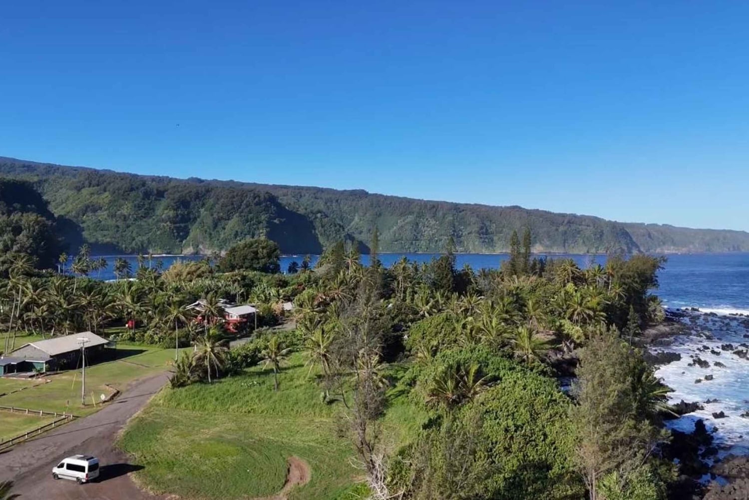 Maui's Sea Turtle & Waterfalls: Taste of Hana Guided Tour