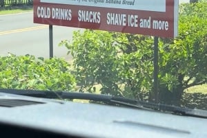 Maui's Sea Turtle & Waterfalls: Taste of Hana Guided Tour