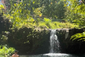 Maui's Sea Turtle & Waterfalls: Taste of Hana Guided Tour