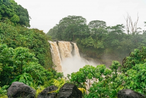 Mauna Kea: Stellar Explorer Tour from Hilo