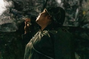 Mauna Kea: Stellar Explorer-tur fra Hilo