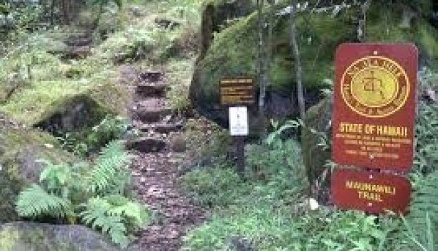 Maunawili Trail