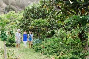 Kauai: McBryde Garden Day Pass