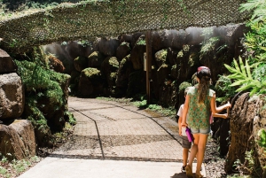 Kauai: McBryde Garden Self Guided Visit