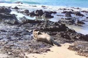 Aventura autoguiada de caiaque nas Ilhas Mokulua