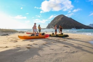 Avventura in kayak senza guida delle Isole Mokulua