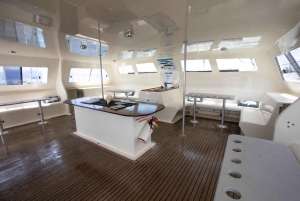 Maui : Croisière de luxe en catamaran sur le cratère de Molokini