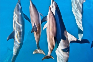 Nā Pali Coast Zodiac Raft Expeditie in zeegrotten op Kauai