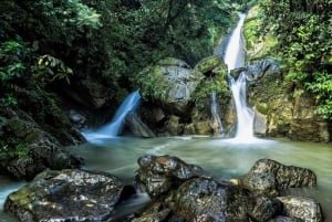 Oasis de la nature - Exploration d'Honolulu et des chutes de Chullachaqui