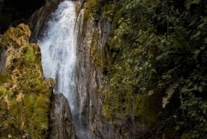 Oasis de la nature - Exploration d'Honolulu et des chutes de Chullachaqui