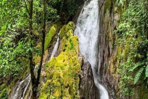 Oasis de la nature - Exploration d'Honolulu et des chutes de Chullachaqui