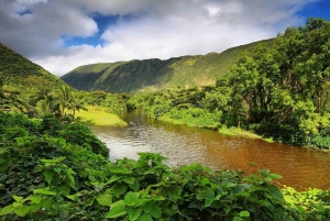 Pętla dżungli na wyspie North Island na Big Island: Wycieczka z przewodnikiem audio