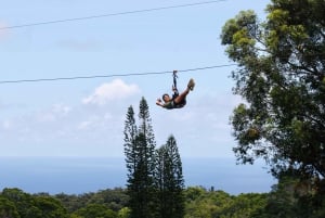 Norte de Maui Aventura en tirolina de 7 líneas con vistas al océano