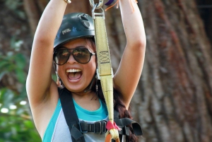 Noord Maui: 7-lijns Zipline avontuur met uitzicht op de oceaan