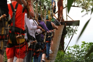 Norte de Maui: 7 Line Zipline Adventure com vista para o mar