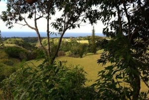 Norte de Maui Aventura en tirolina de 7 líneas con vistas al océano