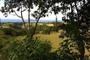 Norte de Maui: 7 Line Zipline Adventure com vista para o mar