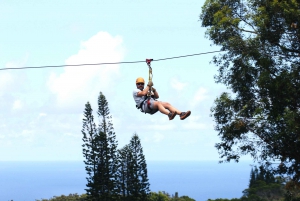 North Maui: 7 Line Zipline Adventure med havudsigt