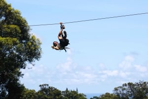 Nord-Maui: 7 Line Zipline Adventure med havutsikt