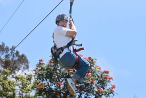 Noord Maui: 7-lijns Zipline avontuur met uitzicht op de oceaan