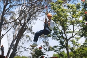 Noord Maui: 7-lijns Zipline avontuur met uitzicht op de oceaan