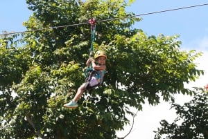 Noord Maui: 7-lijns Zipline avontuur met uitzicht op de oceaan