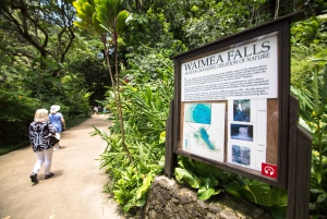 North Shore Adventure from Ko Olina