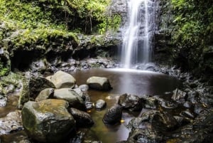 Norra kusten 'Haleiwa & Waimea Falls Valley Of The Priests'!