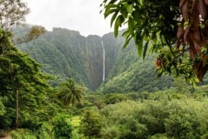 Norra kusten 'Haleiwa & Waimea Falls Valley Of The Priests'!