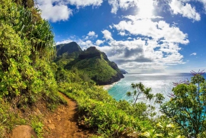 Circuit en voiture sur la côte nord de Kauai : Visite guidée audioguide