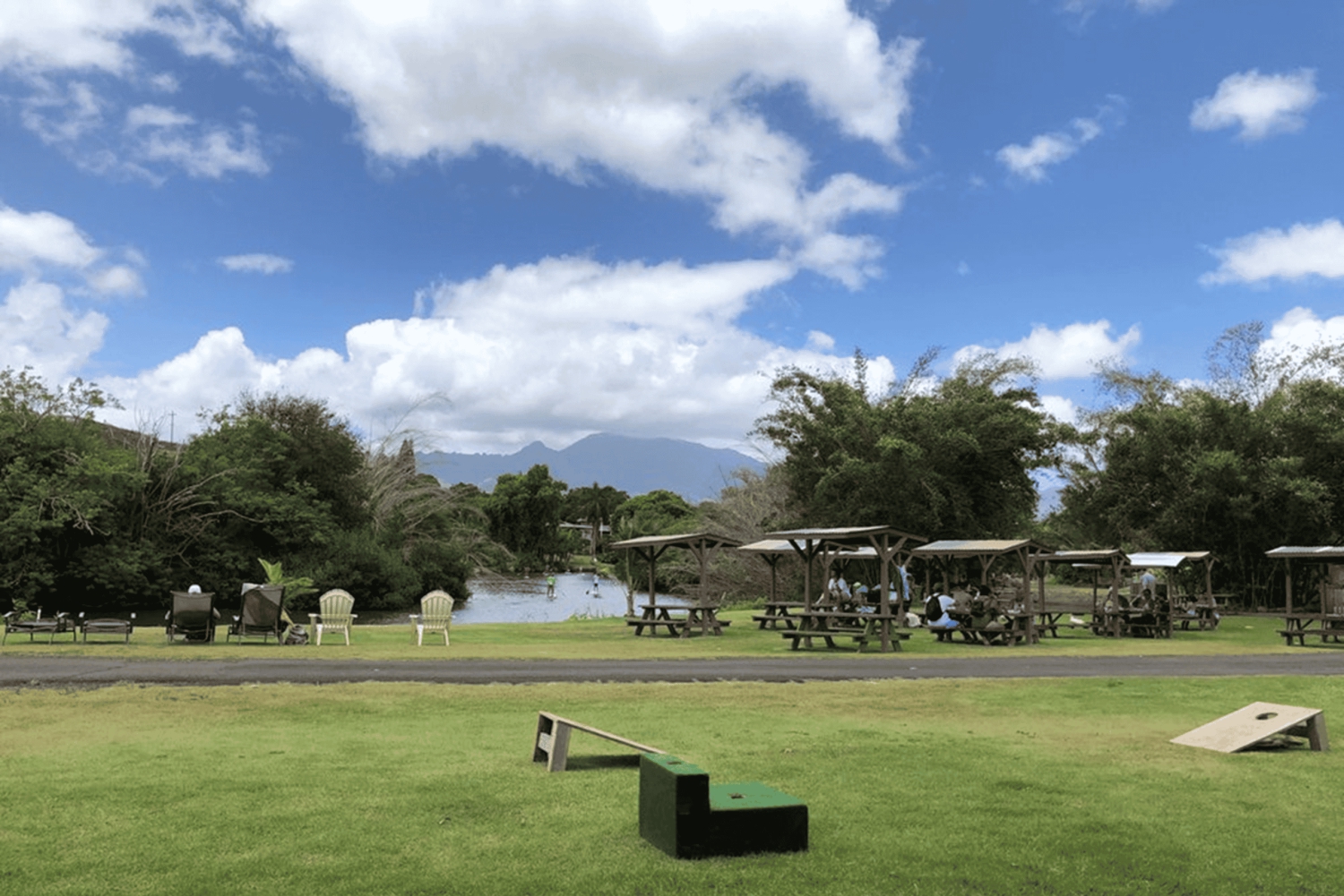 La meilleure journée de North Shore ! Rivière, tortues, ferme avec déjeuner