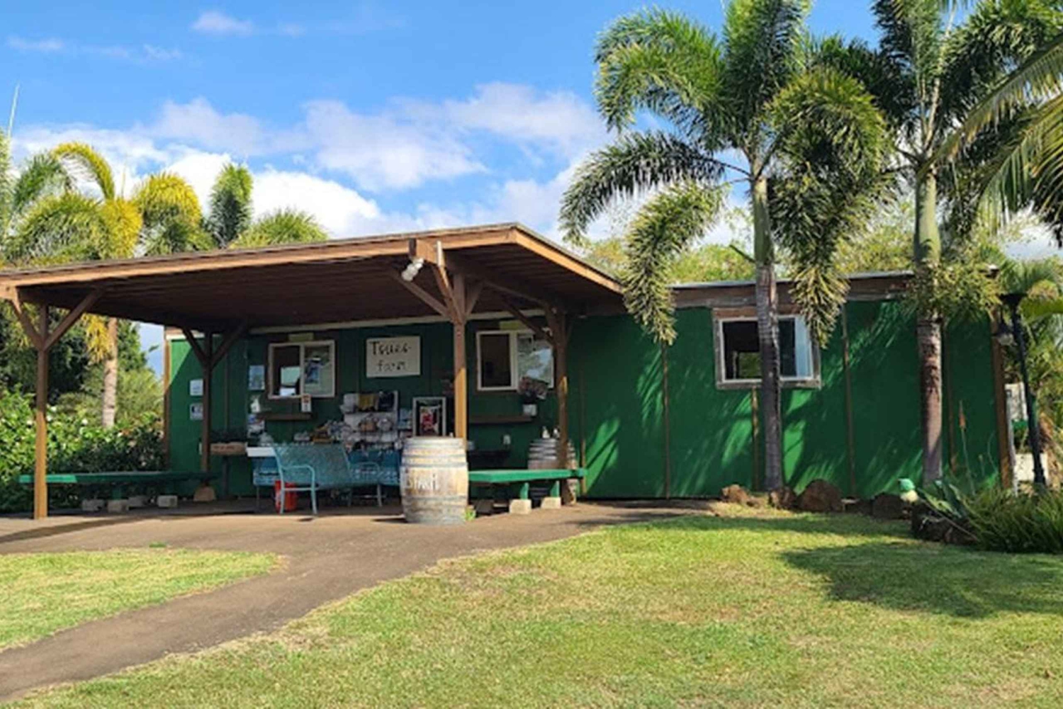 La meilleure journée de North Shore ! Rivière, tortues, ferme avec déjeuner