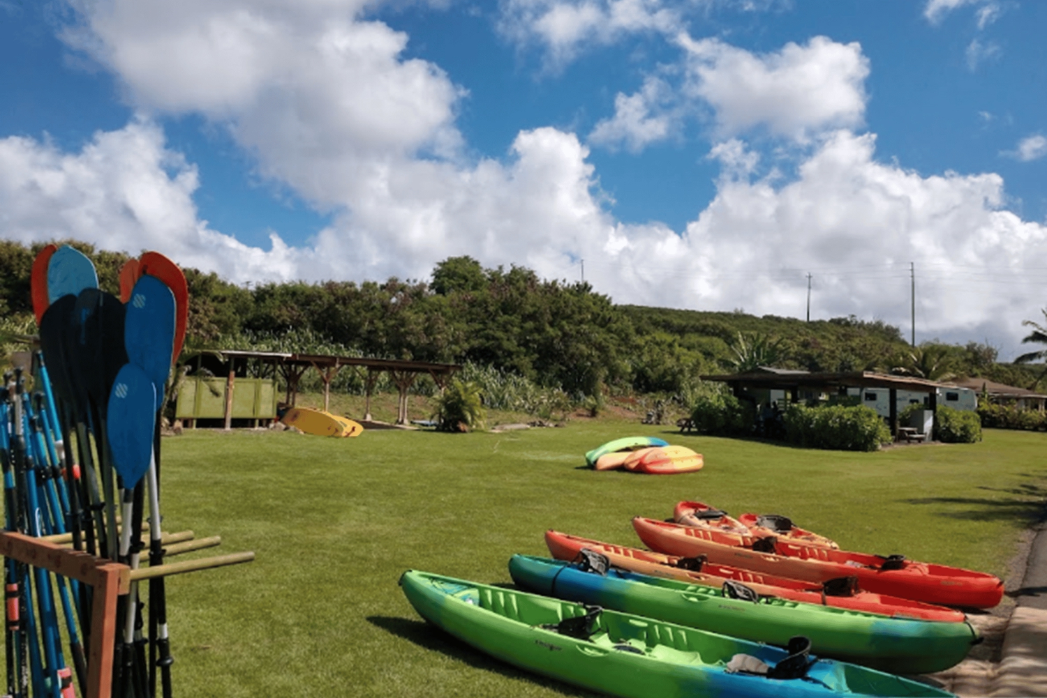 La meilleure journée de North Shore ! Rivière, tortues, ferme avec déjeuner