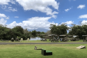 La meilleure journée de North Shore ! Rivière, tortues, ferme avec déjeuner