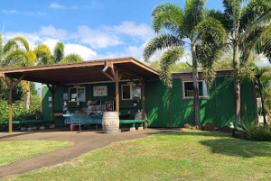 La meilleure journée de North Shore ! Rivière, tortues, ferme avec déjeuner