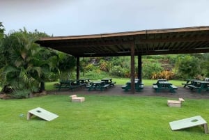 La meilleure journée de North Shore ! Rivière, tortues, ferme avec déjeuner