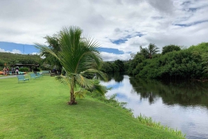 La meilleure journée de North Shore ! Rivière, tortues, ferme avec déjeuner