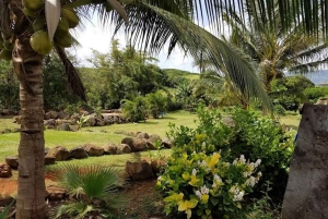 La meilleure journée de North Shore ! Rivière, tortues, ferme avec déjeuner