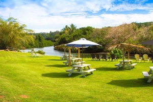 La meilleure journée de North Shore ! Rivière, tortues, ferme avec déjeuner