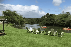 La meilleure journée de North Shore ! Rivière, tortues, ferme avec déjeuner